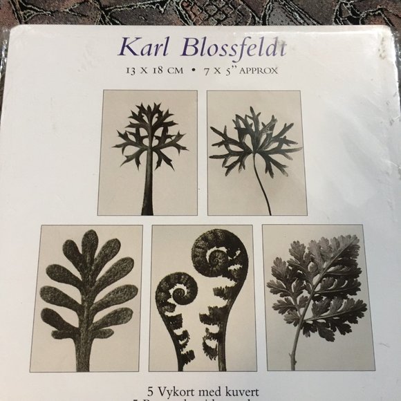 Five Vintage IKEA Karl Blossfeldt Art Cards Made in Great Britain 1998 - Picture 3 of 5